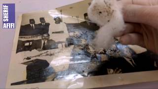 Old Photo Conserved & SILVER MIRRORING Removed
