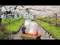 【Vlog】川越お花見散歩をしてきました
