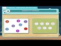 Atoms and Elements: Exploring the Foundations of Chemistry