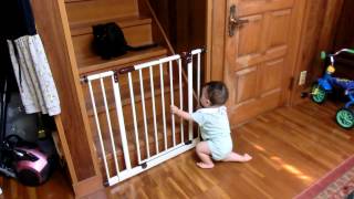 響 20130815-3 黒猫を追いかけて