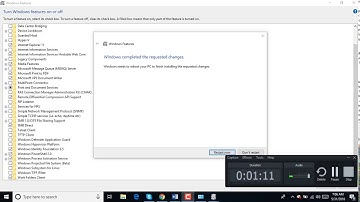 Uninstall IIS From Windows