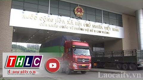 Quả vải tươi Việt Nam bắt đầu xuất khẩu sang thị trường Trung Quốc | THLC