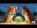 Cartoon for Dogs to Watch: The Tennis Ball&#39;s Adventure ✨ Calming Music for Dog Anxiety