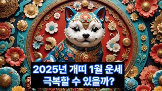2025 을사년 1월 개띠운세 #초월선녀 #청풍신장 #삼재풀이 #액막이 #연애운 #금전운 #사업운 #용한점집 #유명한점집 #상반기운세 #하반기운세 #궁합  #이슈 #개띠운세