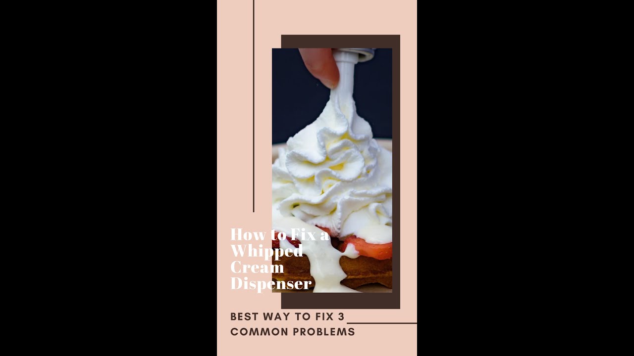 How to Fix a Whipped Cream Dispenser Best Way to Fix 3 Common