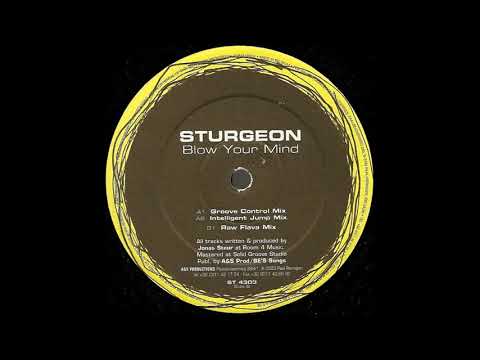 Sturgeon — Sturgeon - Blow Your Mind (Raw Flava Mix)