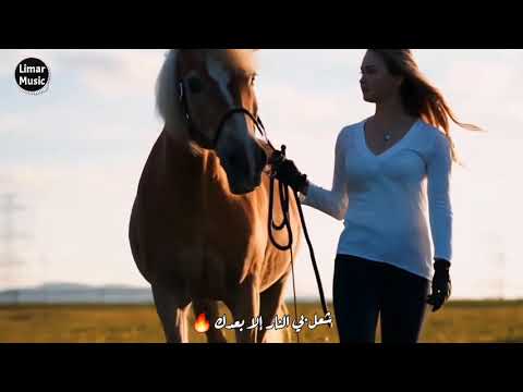 لا قبلك يا شوق ولا بعدك