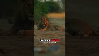 Hindi Ko Iniisip Ang Hinaharap