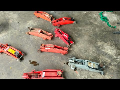 Video thanh lý đội cá sấu 2tấn nội địa nhật giá 400k con LH... - youtube