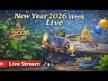 Relaxing Aquarium Stream | African Cichlid Tank #52