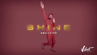 Звонкий - Shine () Resimi