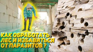 Как правильно обработать лес. Готовим древесину и обрабатываем от ПАРАЗИТОВ. Обработка Своими Руками