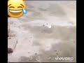 لقطات من TikTok   الدعم وشكراً
