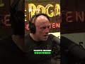 Aliens Created Humans & Ancient Tech_ Mind-Blowing Theories! (PART 2) #joerogan #podcast