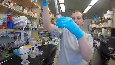 Plant Nuclei extraction