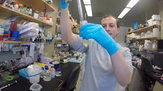 Plant Nuclei extraction