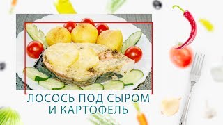 Мультиварка-скороварка. Лосось под сыром и картофель (2 в 1) в ARC–QDL-514D Мультиварка-скороварка. Лосось под сыром и картофель (2 в 1) в ARC–QDL-514D