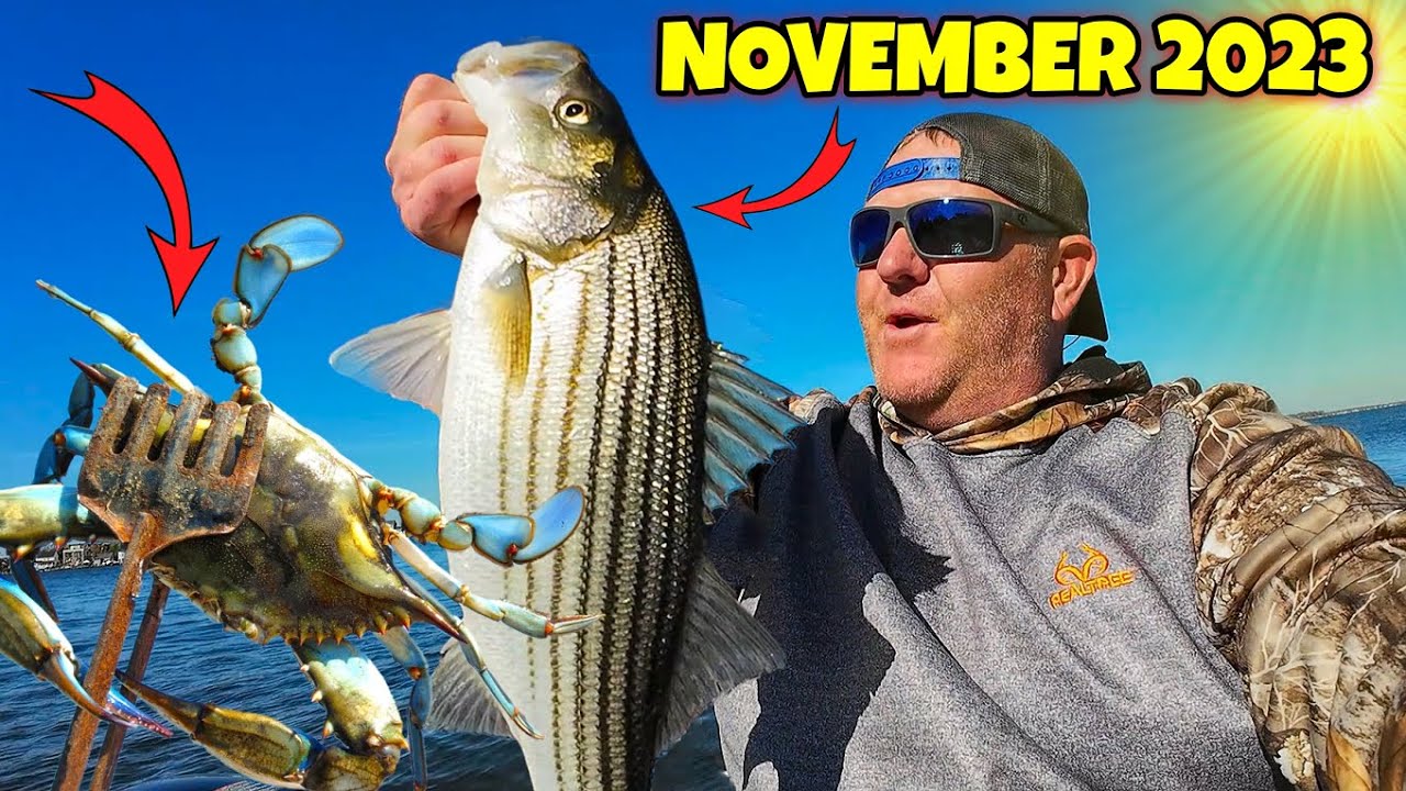 NOVEMBER Crabbing & Striped Bass Fishing the Chesapeake Bay MD