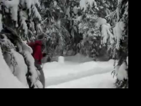 Video: Skivakanties In Zweden