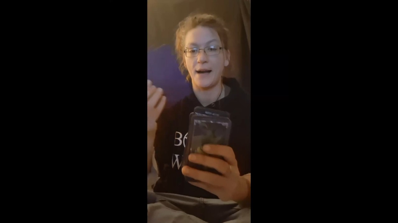 Daily Tarot | Path to Prosper