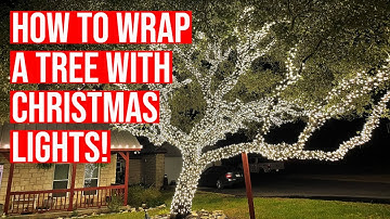 How to wrap a tree with Christmas lights