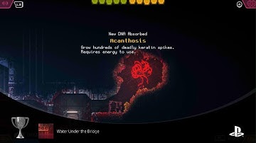 Carrion Water Under the Bridge 🏆