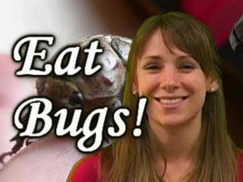 People Eating Bugs & Food w/ Insects, Nutrition by...