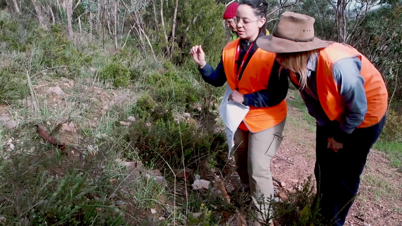 Conservation Volunteers Australia - Promotional Video