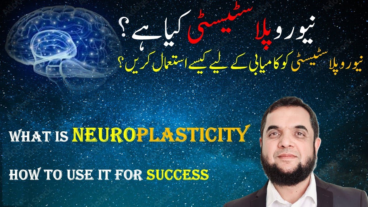 Neuroplasticity Explained | Rewire Your Brain for Personal ...