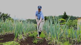 草取レーキの使い方