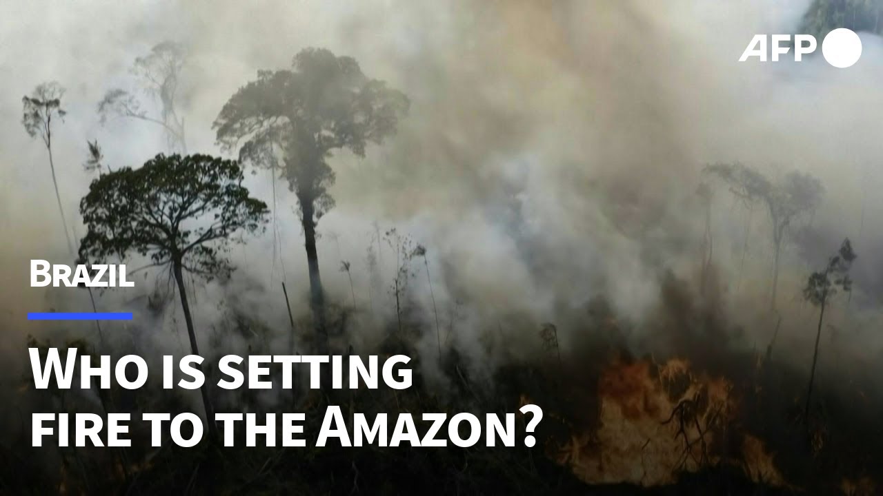 Brazil: Who is setting fire to the Amazon? | AFP