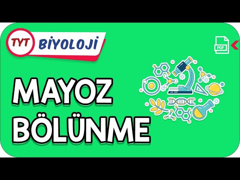 Mayoz Bölünme | TYT Hızlanış Kampı    #Kamp2021