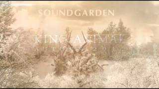 Soundgarden - A Thousand Days Before