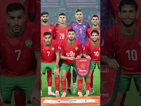 هيرفي رونار يصدم المغاربة بهذا القرار قبل مواجهة المغرب في كاس العرب هيرفي رونار المغرب