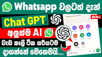 Whatsapp New ChatGPT update in Sinhala | WhatsApp Chat GPT bot number | WhatsApp Ai chatbot