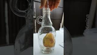 Licor De Frutas Por Maseración Receta Fácil Para Aprovechar シ