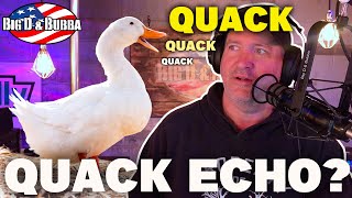 Does A Ducks Quack Echo