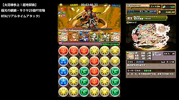 パズドラ 大 泥棒 パズドラ 大 泥棒