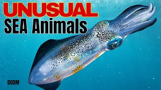 10 Deep-Sea Creatures You Won’t Believe Actually Exist! | DODM Documentary