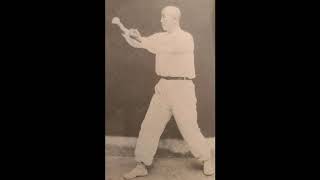 Original Yang Tai Chi Application by Sifu David Chin Part 2 screenshot 3