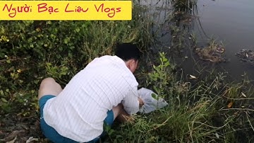 Cá đối mục thả lang trong vuông tôm l Người Bạc Liêu Vlogs