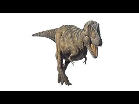 Tarbosaurus Sounds