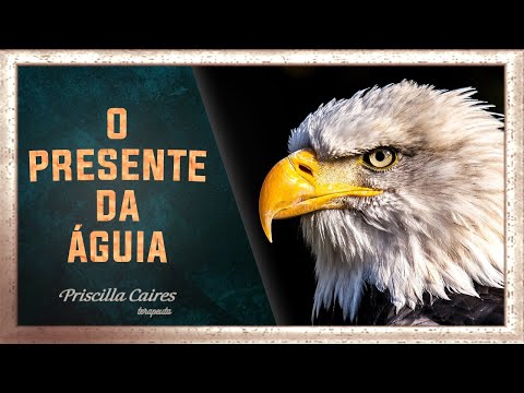 Meditação O Presente da Águia -  Animais de Poder #meditaçãodaáguia