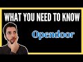 EVERYTHING You Need To Know About OPENDOOR Stock | Is Opendoor A 10x Investment? | OPEN stock