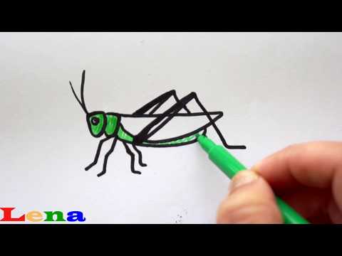Video: Wie Zeichnet Man Eine Heuschrecke