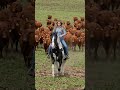 quem aí gosta de trabalhar assim também? #cavalo #fazenda #vacas