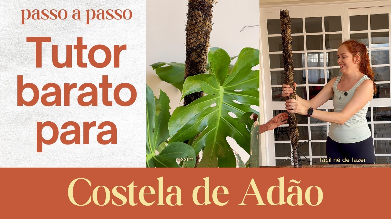 Como fazer um Tutor para plantas trepadeiras