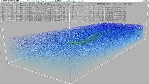 Simulation of C. elegans swimming in double-deep water