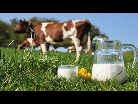 Video: Soya südünün tərkibində estrogen varmı?