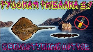 Русская рыбалка 3.9. Лофотенские острова. Скат Кукушка.